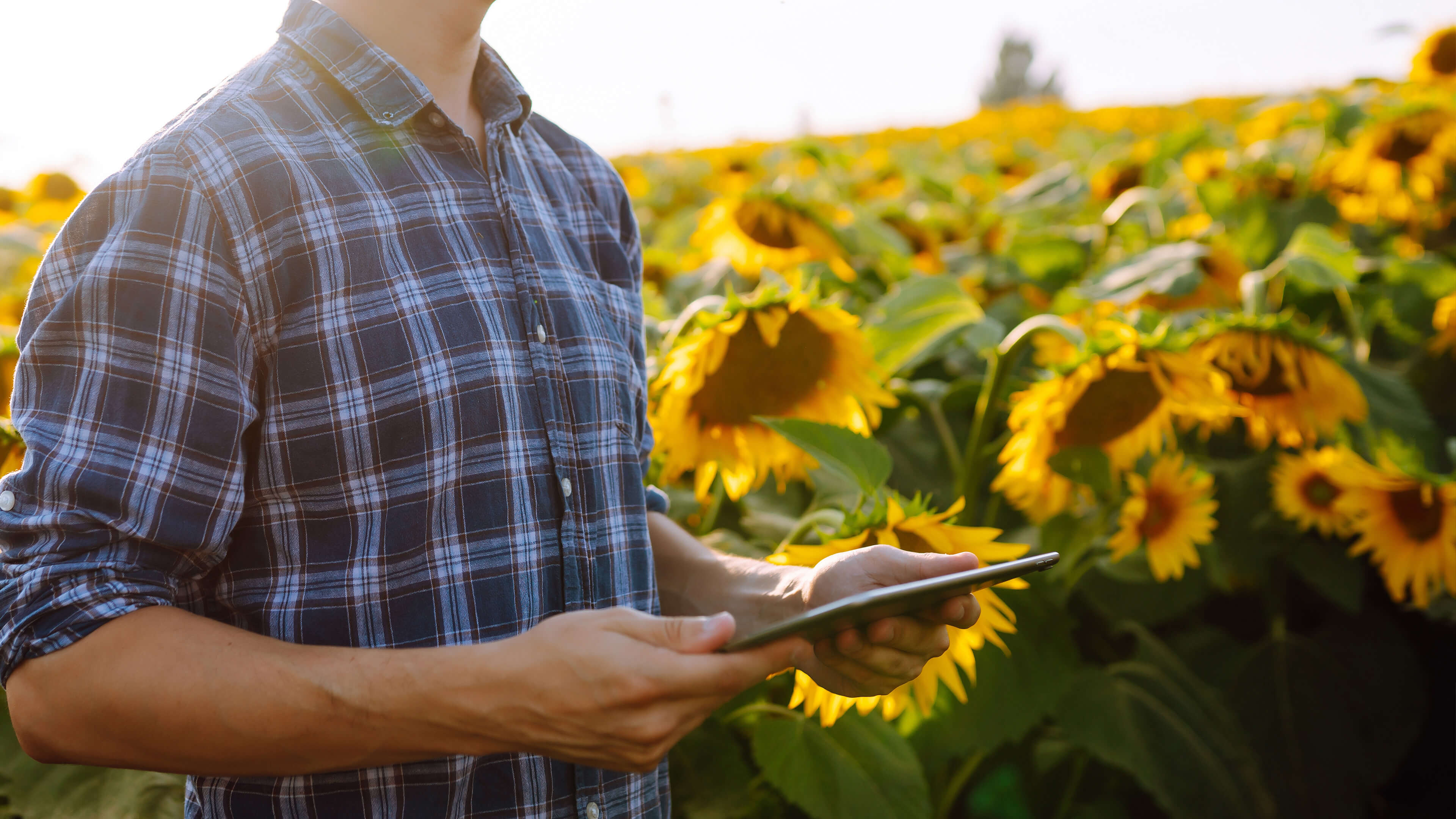 Precision support for every press