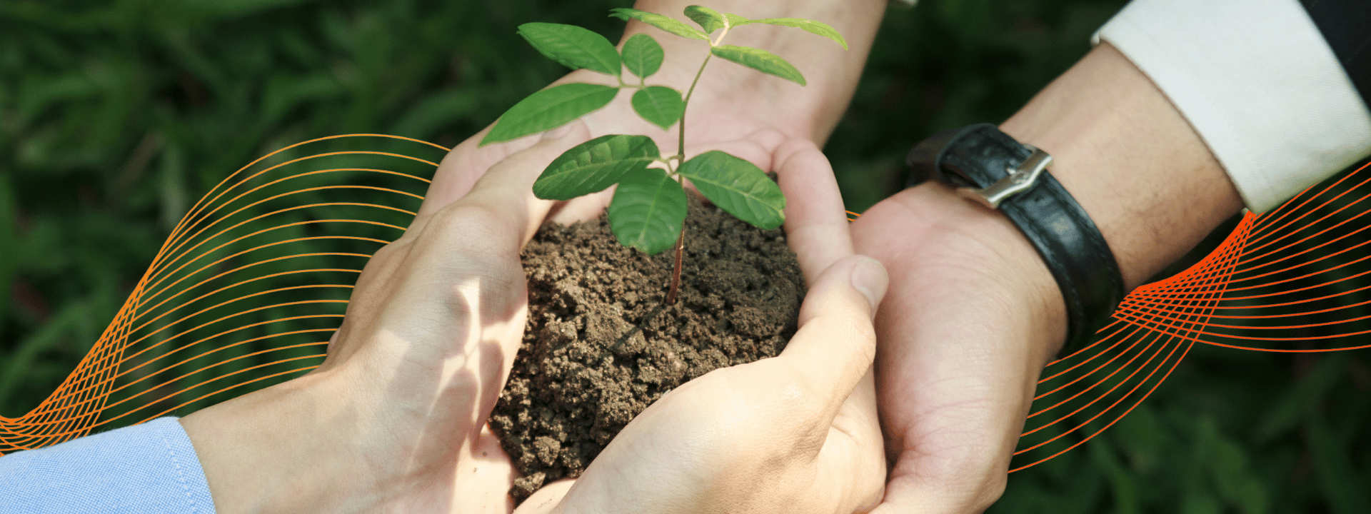 Hands joined around a young plant representing sustainability, environmental responsibility, and collaborative ESG initiatives at Caldic.