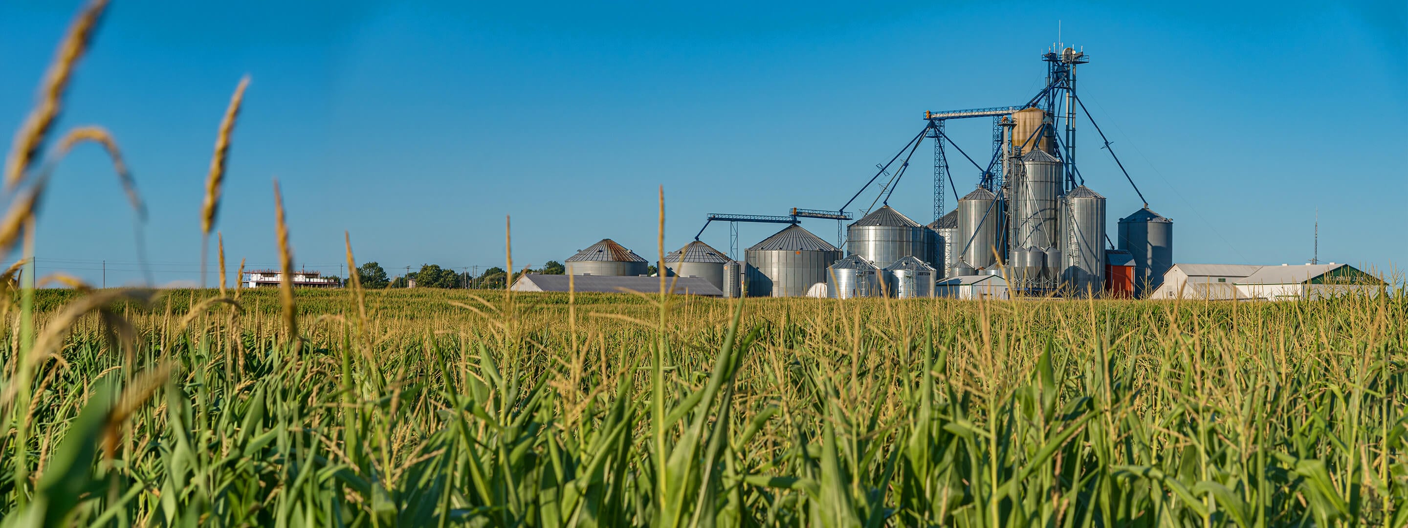 Caldic Canada announces EcoVadis Platinum rating with a 94/100 score, recognizing the company’s position in the top 1% of global organizations for sustainability performance.