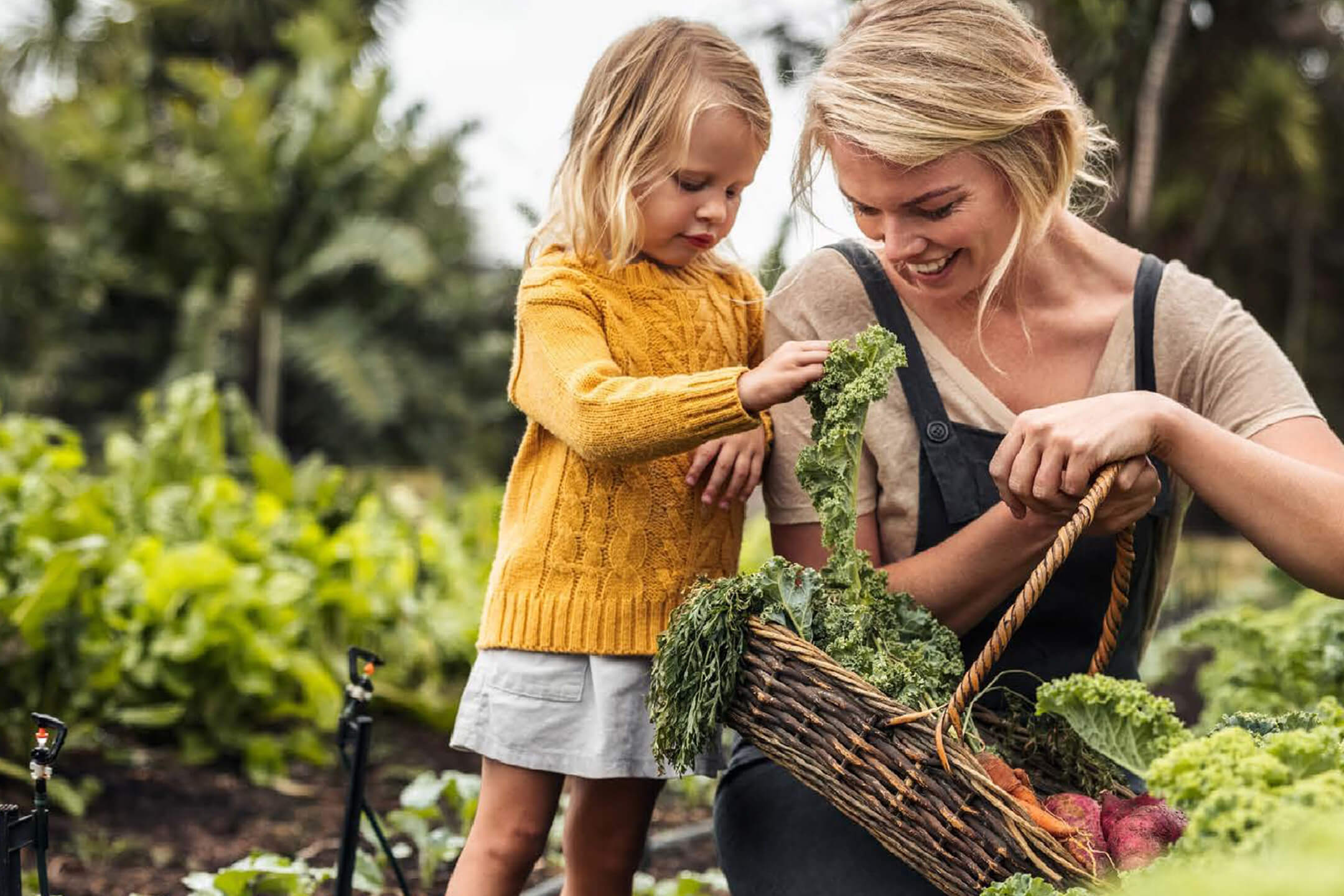 Caldic sets a new sustainability benchmark with EcoVadis Platinum