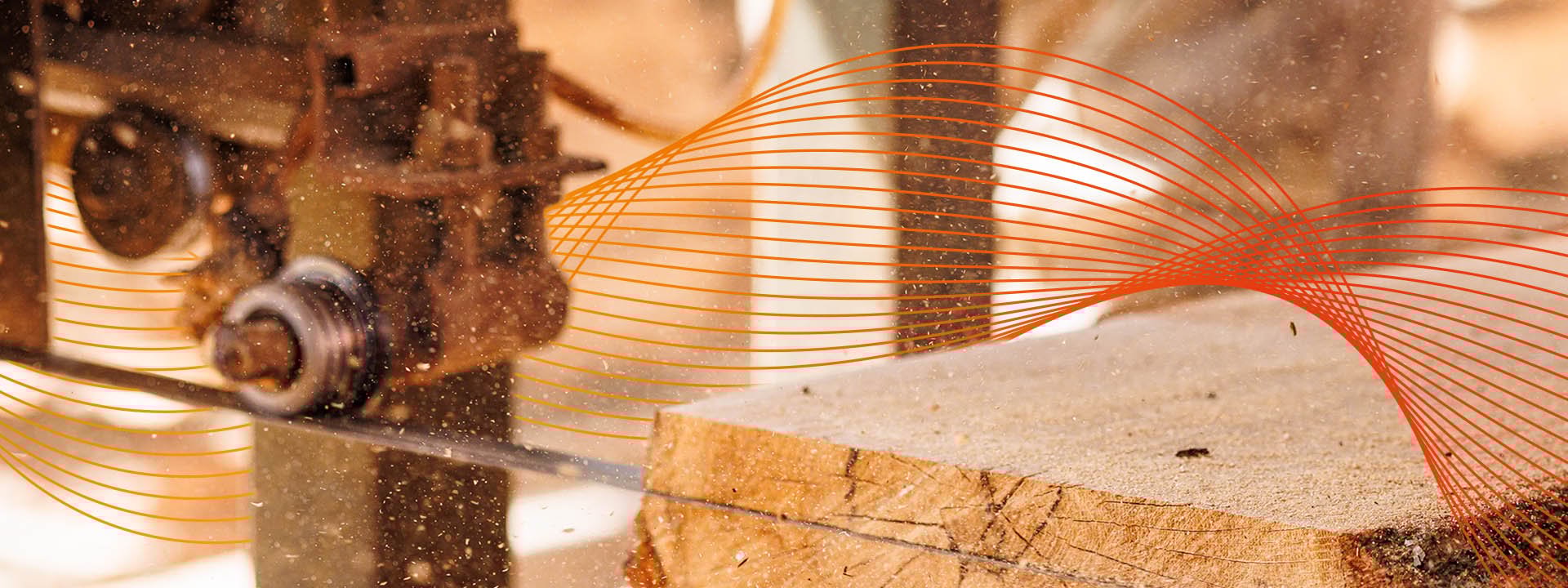 Industrial wood sawing process showing precision cutting of timber for professional wood processing applications.