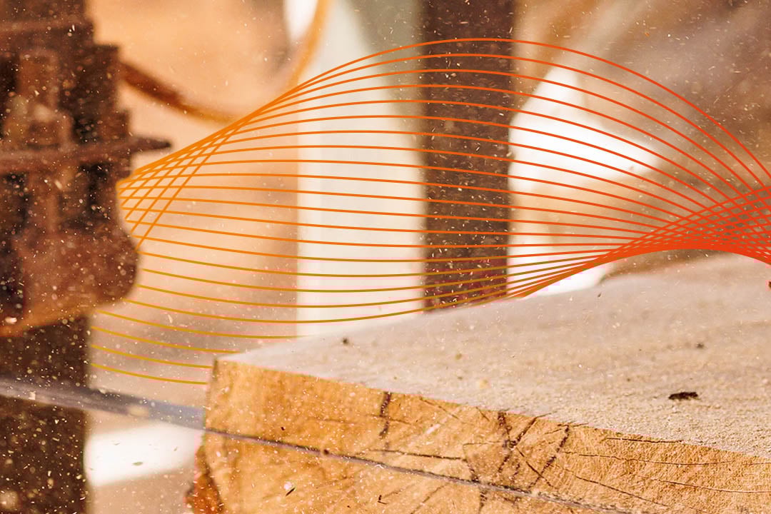Industrial wood sawing process showing precision cutting of timber for professional wood processing applications.