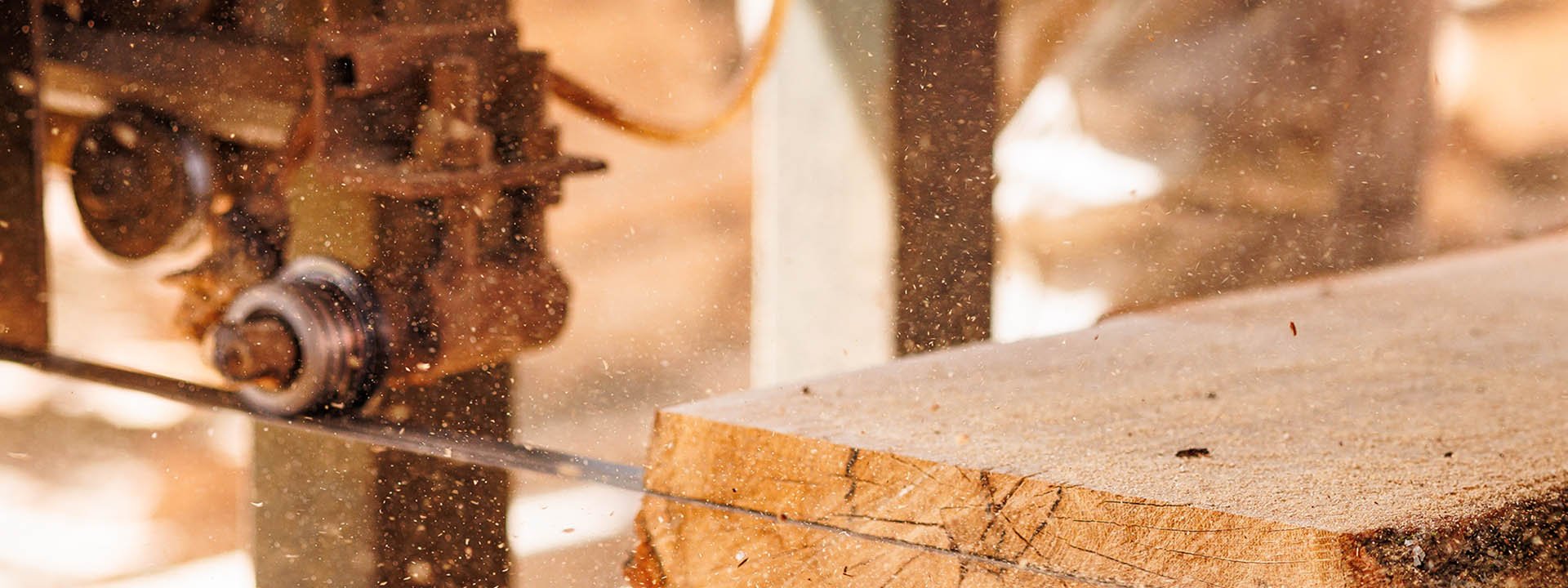 Industrial wood sawing process showing precision cutting of timber for professional wood processing applications.