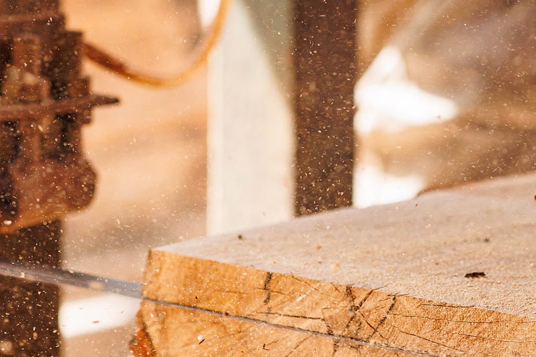 Industrial wood sawing process showing precision cutting of timber for professional wood processing applications.