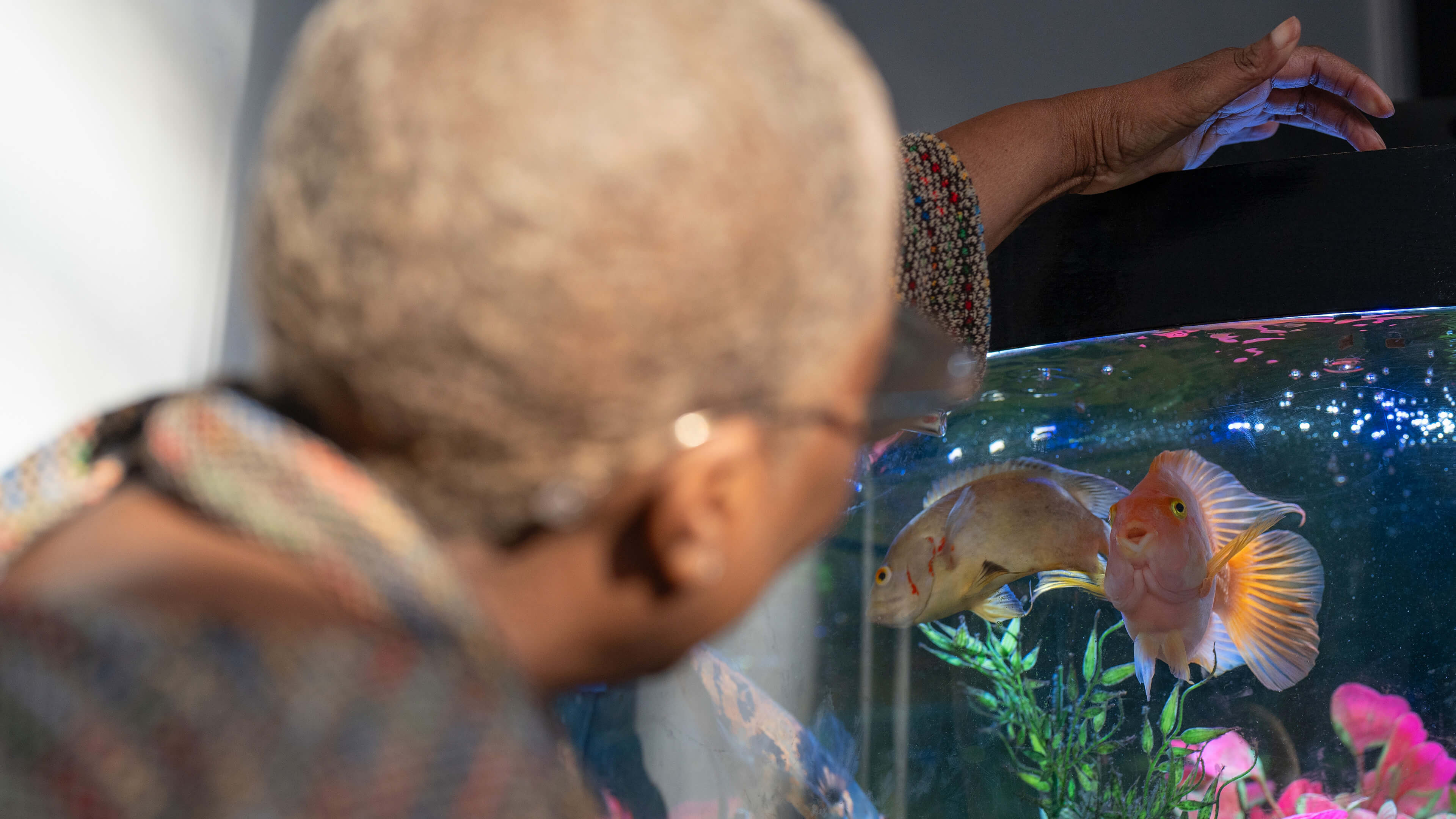 Turning waste into value