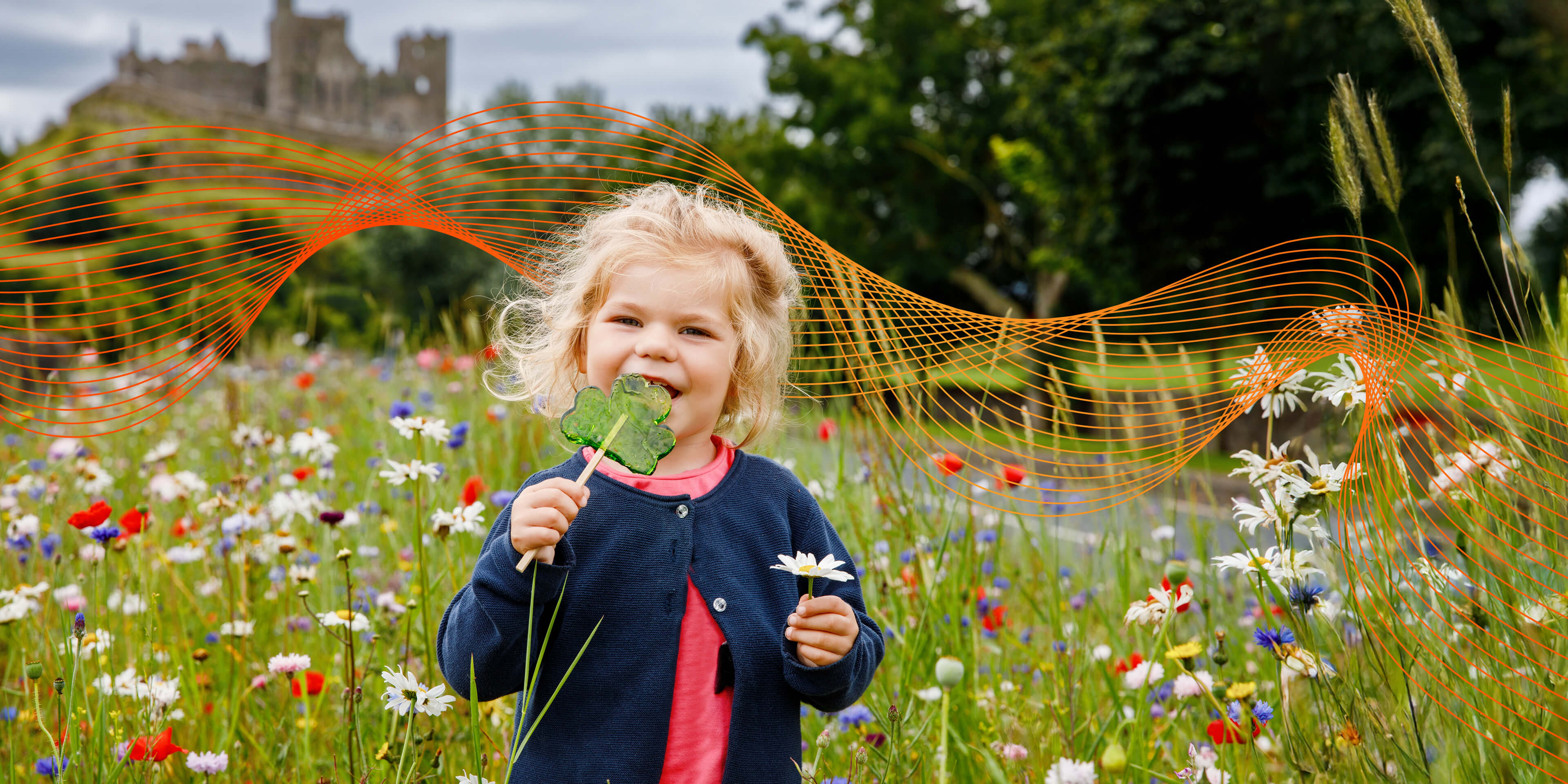 Welcome to Caldic in Ireland