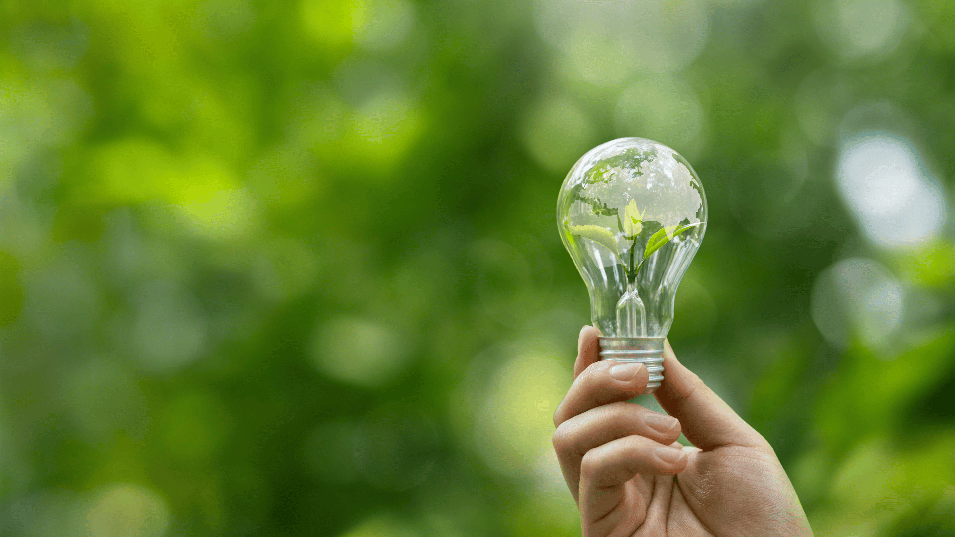 Light bulb with plant inside symbolizing sustainable innovation and next generation food ingredient development