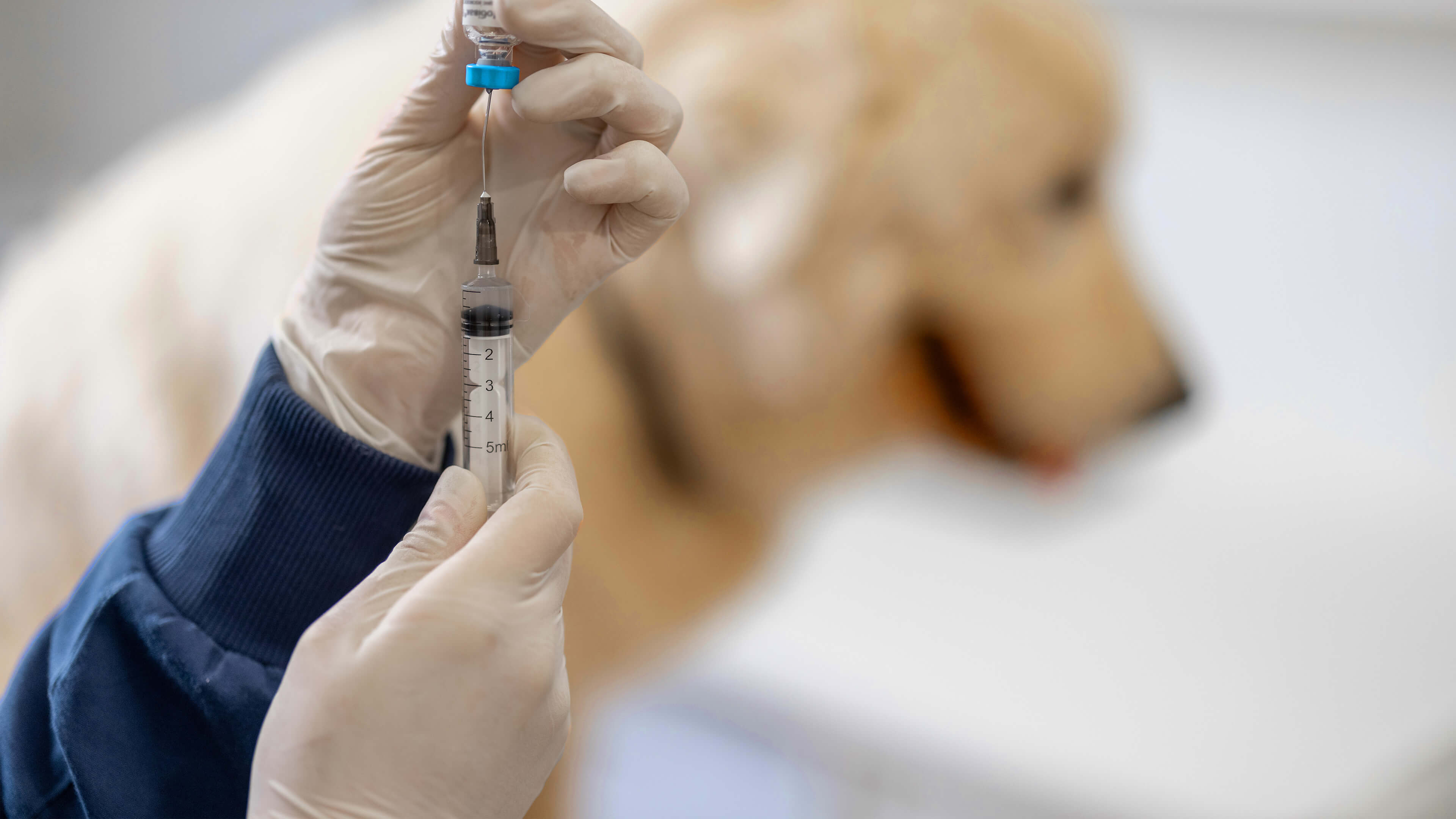 Partner for solutions